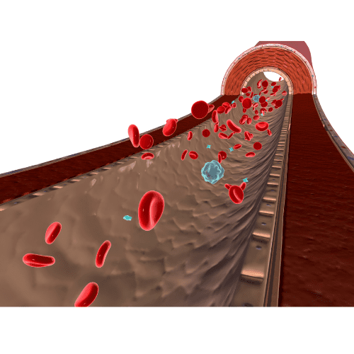 Why Chelation? Heavy Metal Detox